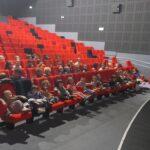 Sortie cinéma: Séance Piou Piou proposée par le Festival du film de Poitiers au cinéma de Saint Vincent de Tyrosse